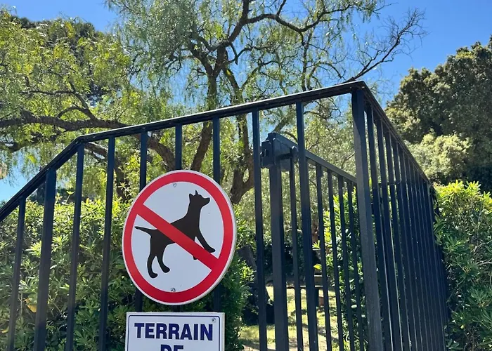 Appartement Terrasse à Classé Meublé De Tourisme *